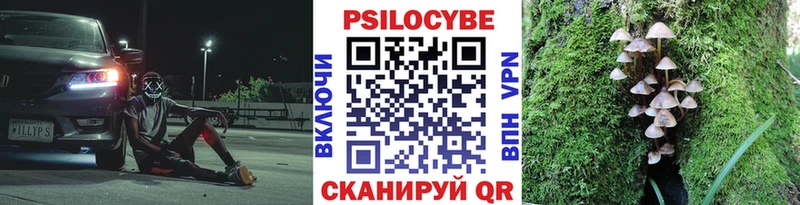 Галлюциногенные грибы MAGIC MUSHROOMS Лесозаводск